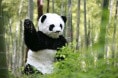 http://www.fjsenfa.cn/pics/default/download/2509aa3812dd510aff0e1394eb3c7ba2.jpg