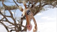WWF支持作品 老外3D動畫大片 動物總動員 高清角色預告片3   6月24日建黨偉業內地紀念上映