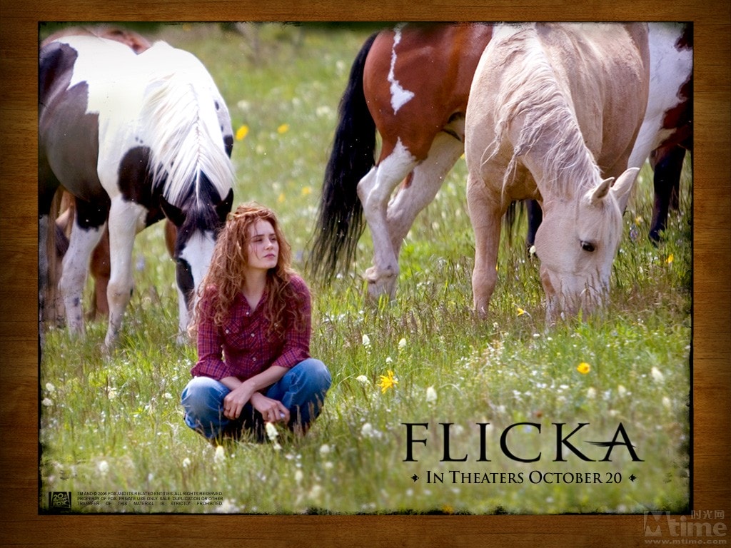 http://www.fjsenfa.cn/pics/default/download/25d742bef5d11f2ed3dab1b4ffca07be.jpg