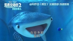 中國版預(yù)告片
