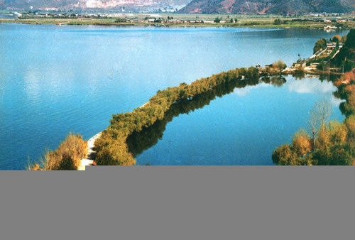 http://www.fjsenfa.cn/pics/default/download/25fd6359ad8eae8d2cddeaa127985948.jpg