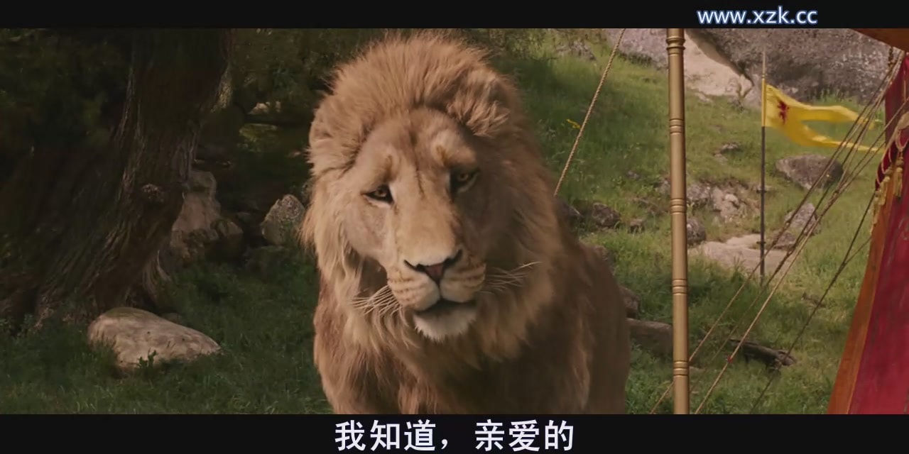 http://www.fjsenfa.cn/pics/default/download/2676d5e18740327cf10c38a85b566152.jpg