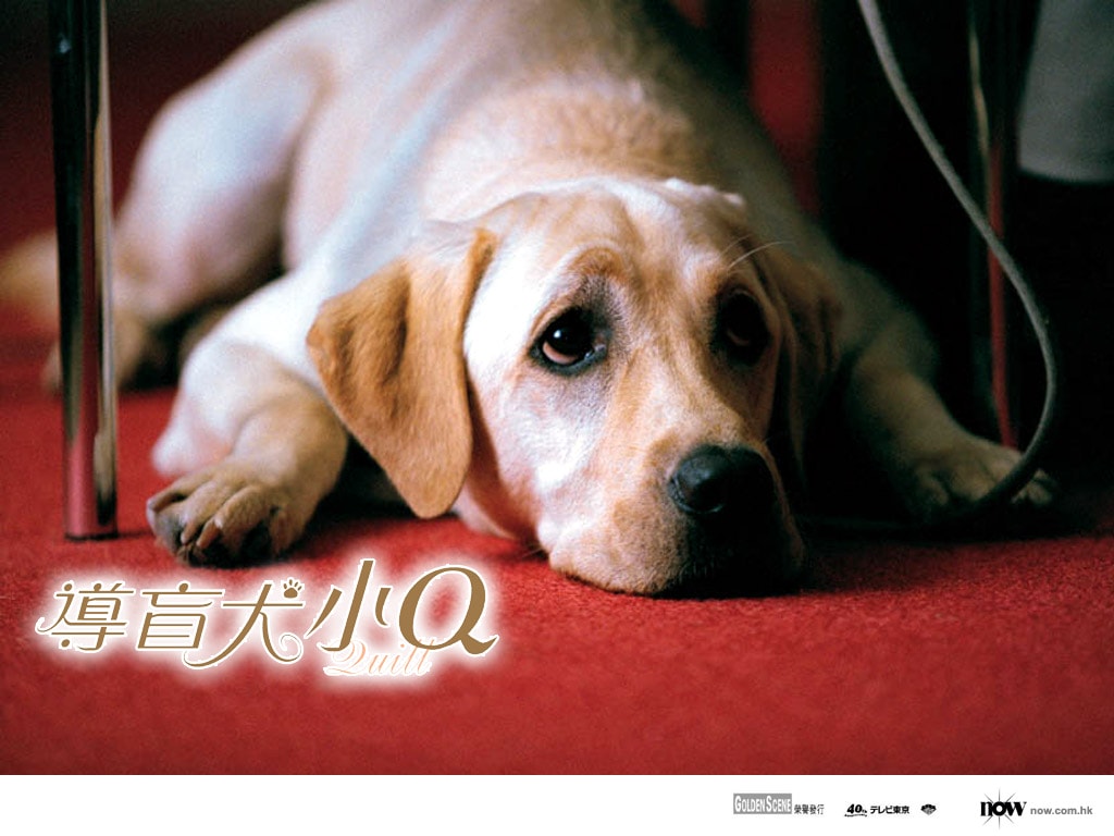 http://www.fjsenfa.cn/pics/default/download/26c9fe1bde75b51c71a528329de24f08.jpg