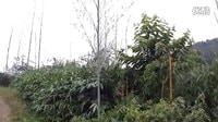 雨后的家鄉(xiāng)2