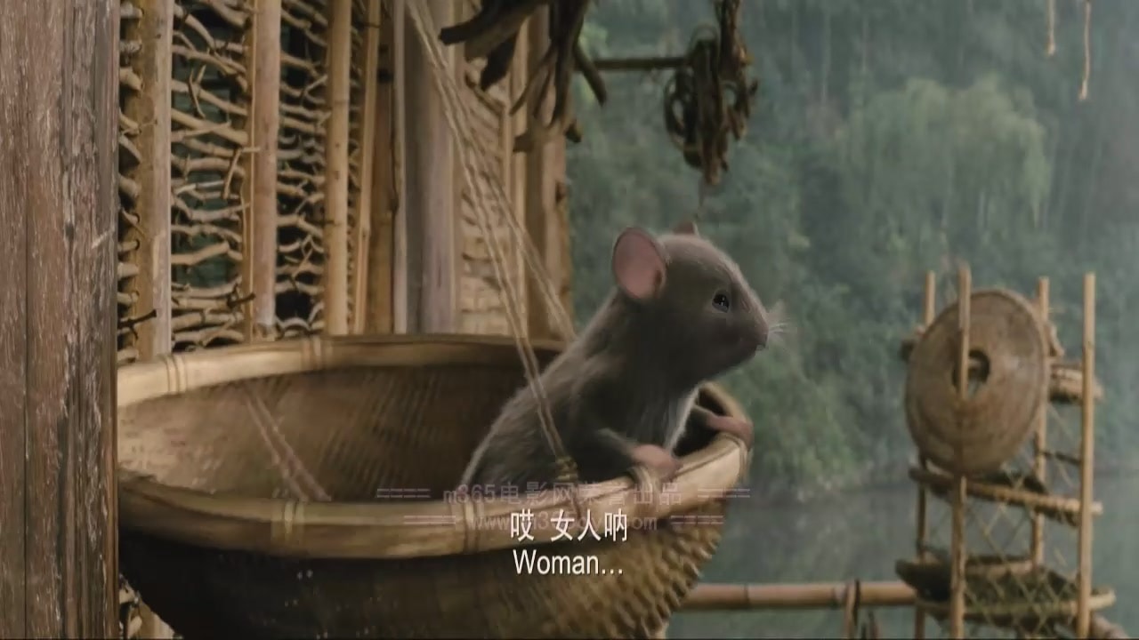 http://www.fjsenfa.cn/pics/default/download/2acd4c1903231e81021b29524024983a.jpg