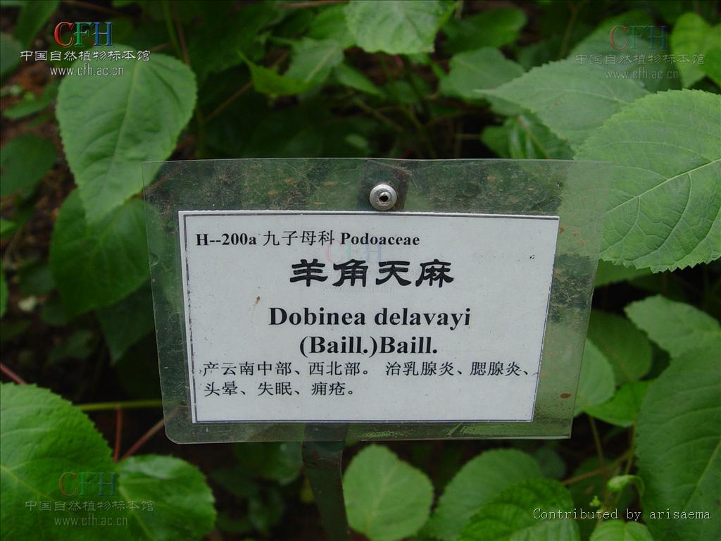 http://www.fjsenfa.cn/pics/default/download/2ae044308809212c8ee899637ecf74d1.jpg