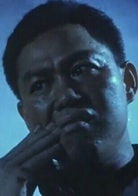 林嶺南