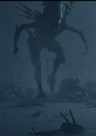 無（CG特效）