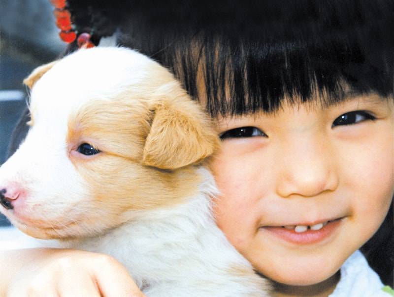 http://www.fjsenfa.cn/pics/default/download/2cabcb568e5ec8679b292ec893e0e580.jpg