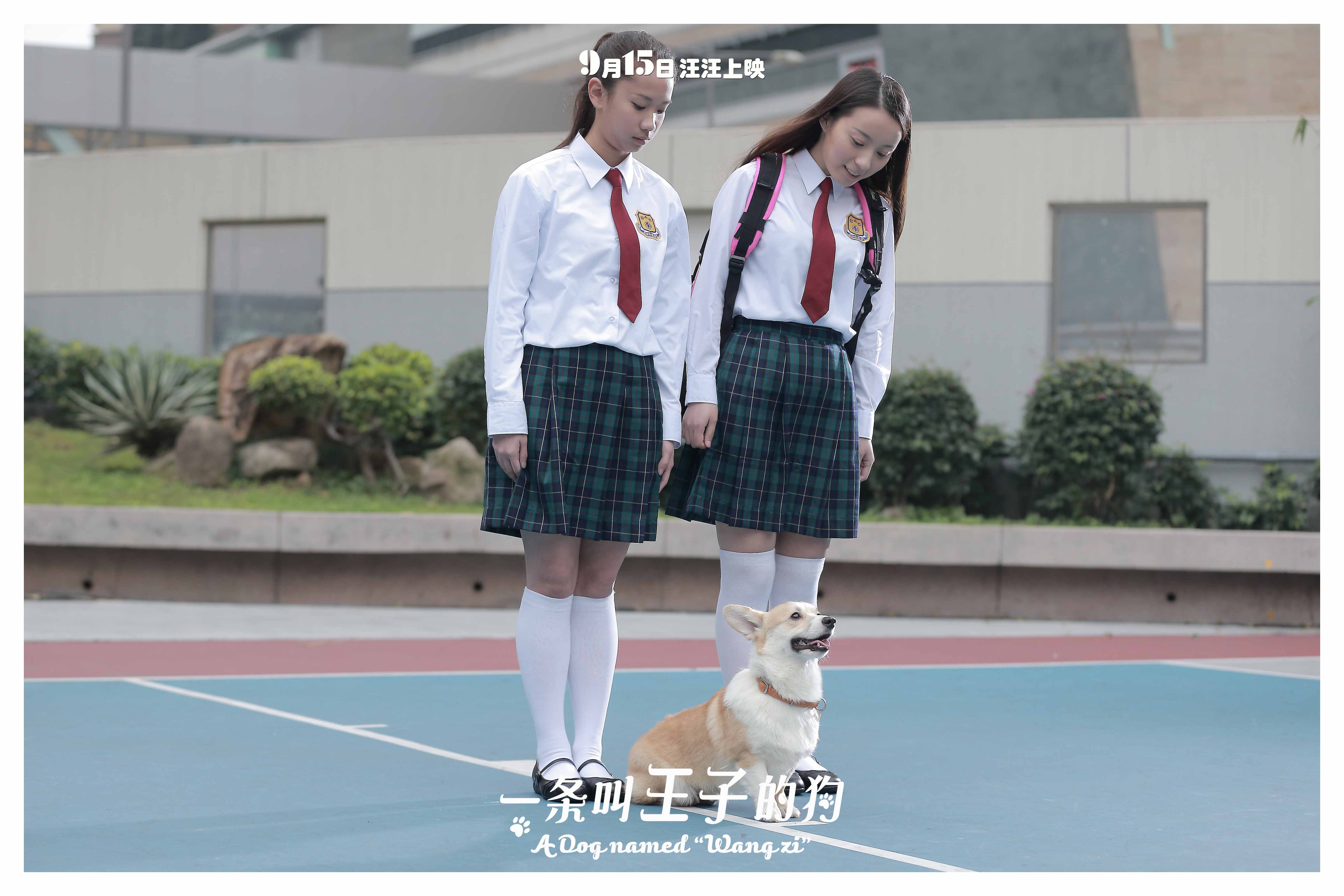 http://www.fjsenfa.cn/pics/default/download/2d13894e63534fe7dda10af801ac2a0d.jpg