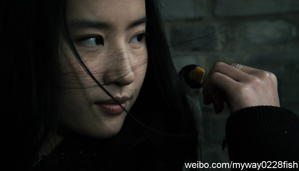 http://www.fjsenfa.cn/pics/default/download/2d4f38e64da3401b37faf0533b41400d.jpg