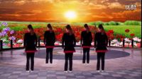 2016最新廣場(chǎng)舞16步《親愛(ài)的嫁給我吧》徐州團(tuán)埠聆聽(tīng)廣場(chǎng)舞_標(biāo)清