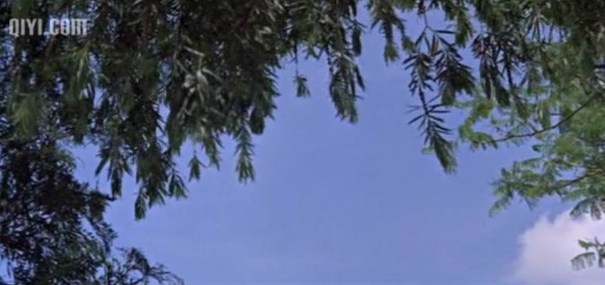 http://www.fjsenfa.cn/pics/default/download/2df9173ffd57426e271bdfd5e5b94ff4.jpg