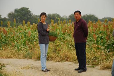 http://www.fjsenfa.cn/pics/default/download/2f0a744ab58a480799309b9fc46a2eae.jpg