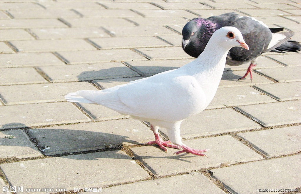 http://www.fjsenfa.cn/pics/default/download/2f71160b557cb3ebe57516495b8b533d.jpg