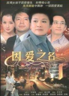 因愛之名