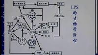 醫學微生物學5  遺傳與變異_標清