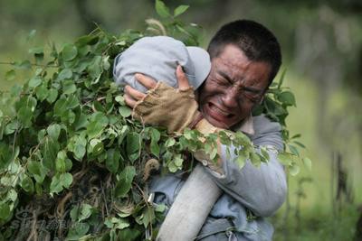 http://www.fjsenfa.cn/pics/default/download/31d47948d7a45df3bef45c697b12810e.jpg