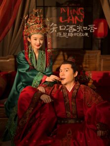 知否知否應(yīng)是綠肥紅瘦[DVD版]