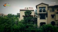 安東陽《情為何物》如果相愛最終卻要相負，我又怎么不會銘心刻骨