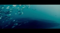 《校花駕到3人魚?；ā废葘?dǎo)預(yù)告 風(fēng)浪再起人魚歸來