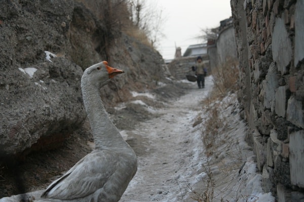 http://www.fjsenfa.cn/pics/default/download/3370c37c50ee7dfada85b92b779b0992.jpg
