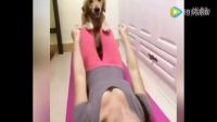 女人和狗 秒殺所有單身狗！.mp4