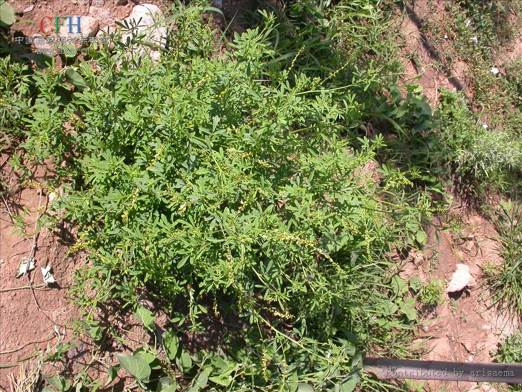 http://www.fjsenfa.cn/pics/default/download/34edf1b900a7fa72430e6d2475d284ef.jpg
