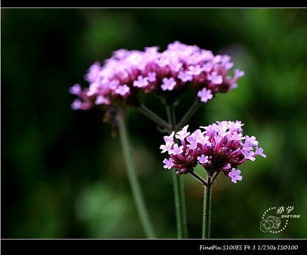 http://www.fjsenfa.cn/pics/default/download/35b6b71b59ee3a7d8fc5a5e7641042c5.jpg