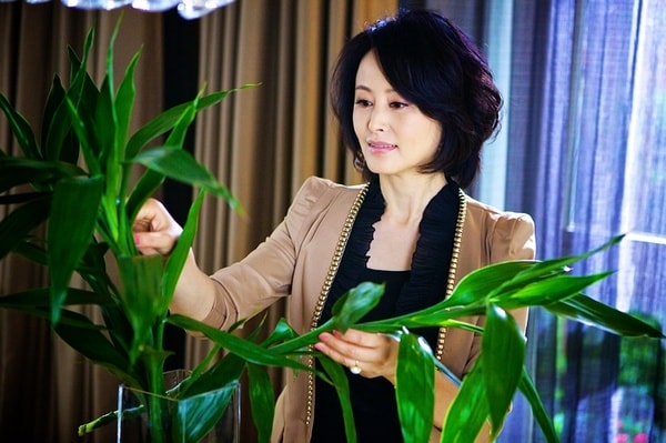 http://www.fjsenfa.cn/pics/default/download/35ce1a8007563a1e51b99127f95ccb6c.jpg