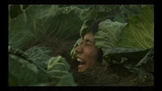 先行版預告片
