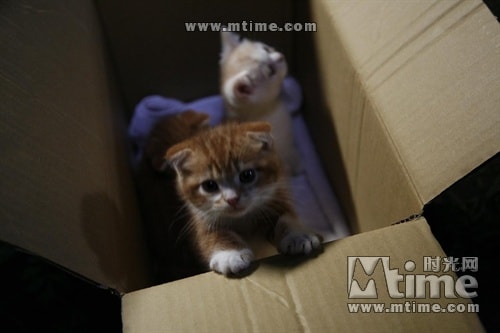 http://www.fjsenfa.cn/pics/default/download/367a96607949e9265e8bb643b910cc39.jpg