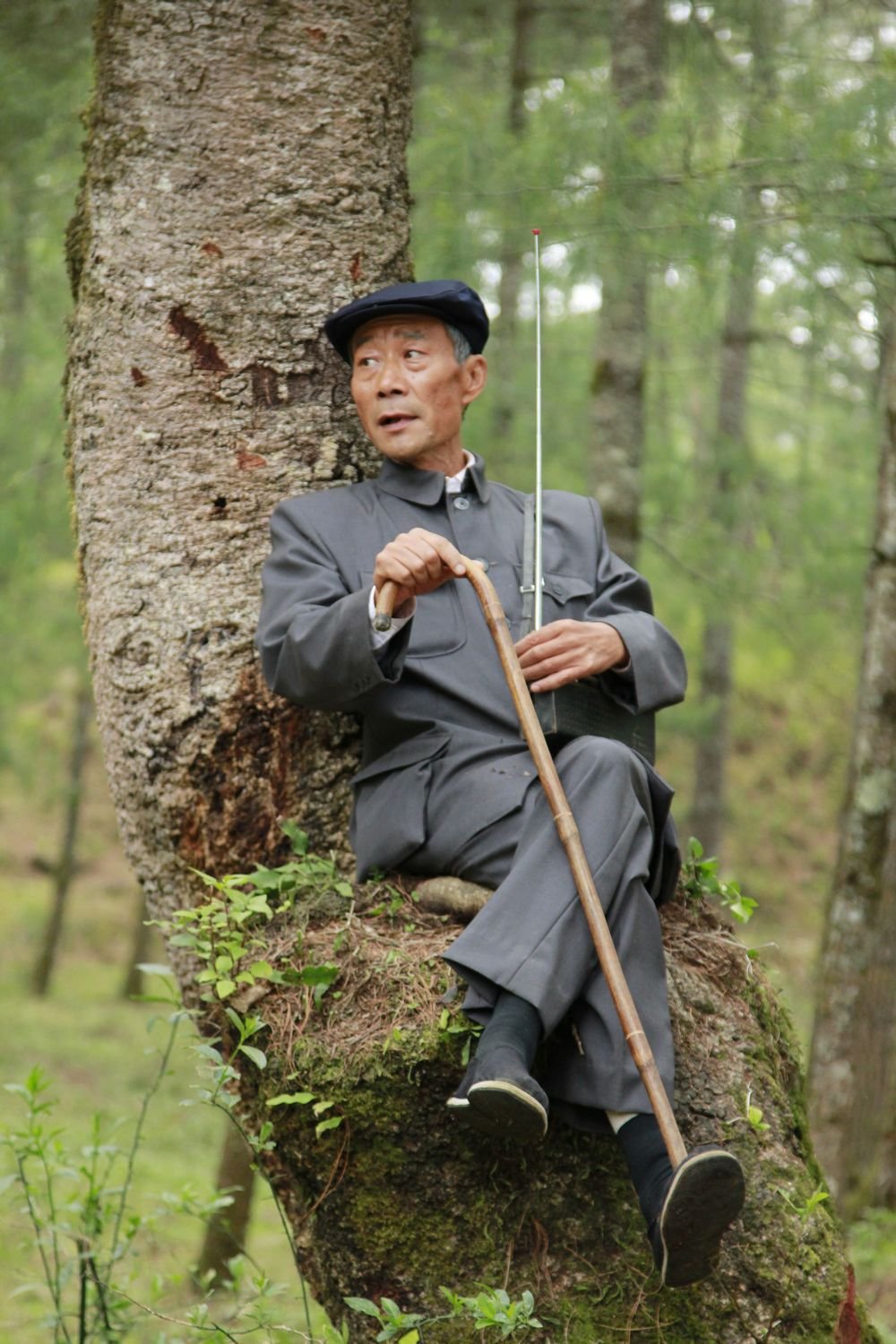 http://www.fjsenfa.cn/pics/default/download/367edee4769c7f9cdcccca4dc2b14c90.jpg