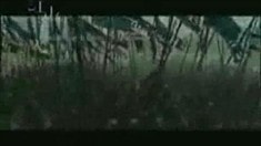 劇場版預告片1