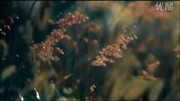 【泰影·Trailer】永恒 ?????????????? 1‘01“(HD無字)