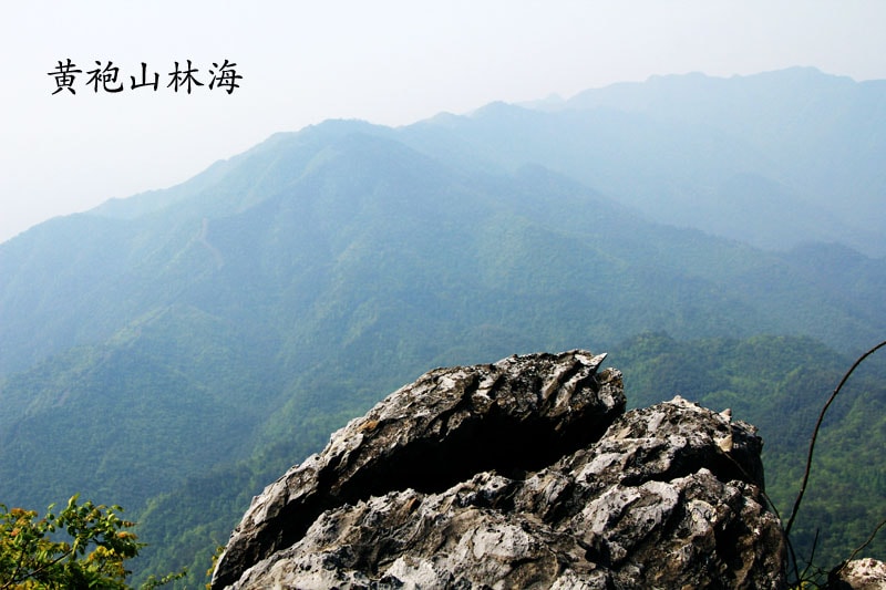 http://www.fjsenfa.cn/pics/default/download/37f790e0f3e941e8b9b4c300989aa5ab.jpg