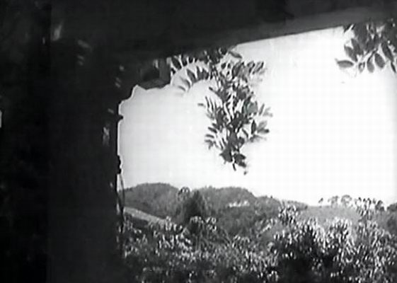 http://www.fjsenfa.cn/pics/default/download/3808185f897fa29e2ab2282a6125b844.jpg