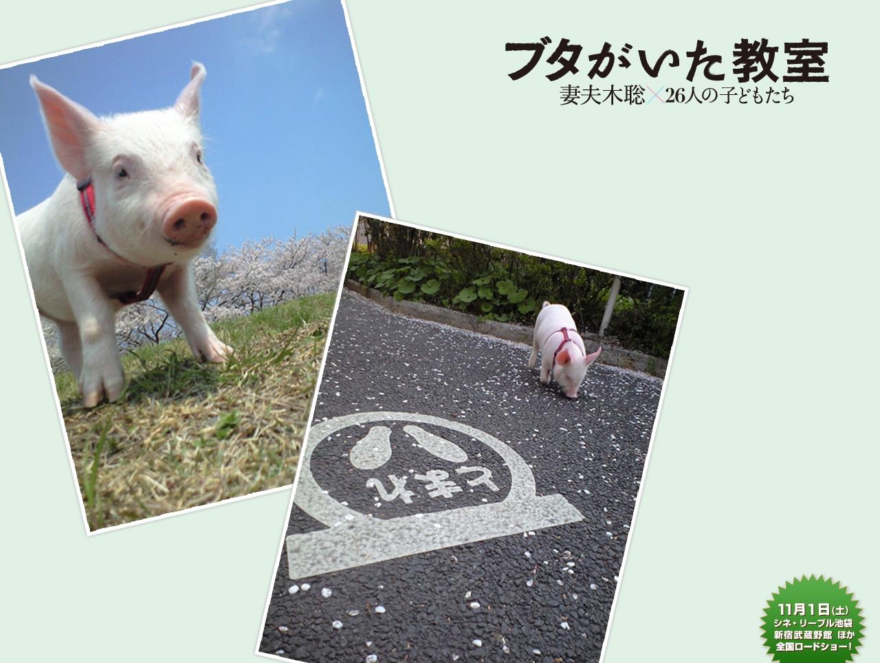 http://www.fjsenfa.cn/pics/default/download/3857fd55e2ee1eaa5ec24b012028a316.jpg