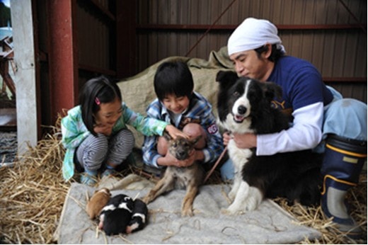 http://www.fjsenfa.cn/pics/default/download/388ce4d0175ad9cf80a9c77b702117ba.jpg
