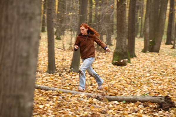 http://www.fjsenfa.cn/pics/default/download/3960c40746496e388b47feaac0d7ae7b.jpg