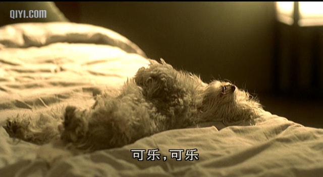 http://www.fjsenfa.cn/pics/default/download/3983254610ee0c55fd4f8481377e44c3.jpg