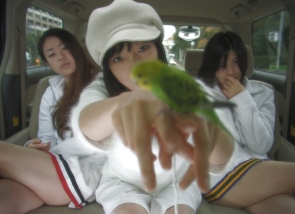 http://www.fjsenfa.cn/pics/default/download/3a29e28b8ad12eb8e5d19ec70a9f6d39.jpg
