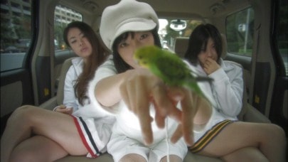 http://www.fjsenfa.cn/pics/default/download/3a36088136fc900ab2a906a5e3ea4e9a.jpg