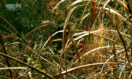 http://www.fjsenfa.cn/pics/default/download/3a9a93726610f2c81e22dde649ba435c.jpg