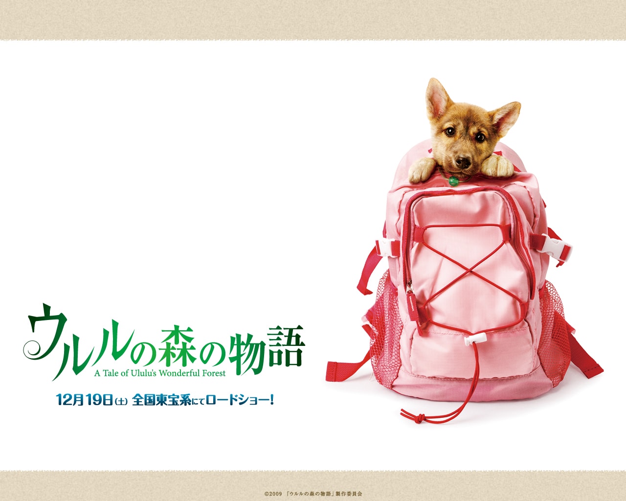 http://www.fjsenfa.cn/pics/default/download/3ae0bdeea08df61b9e88505015658269.jpg