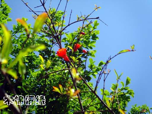http://www.fjsenfa.cn/pics/default/download/3b936208b3557949345eb2adafe82c28.jpg