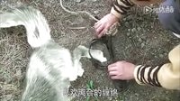 活佛濟公3第01集陳亮百靈感人愛情