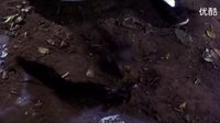 僵尸先生3靈幻先生預告片 林正英稀有高清修復電影預告片 9shig舊時光