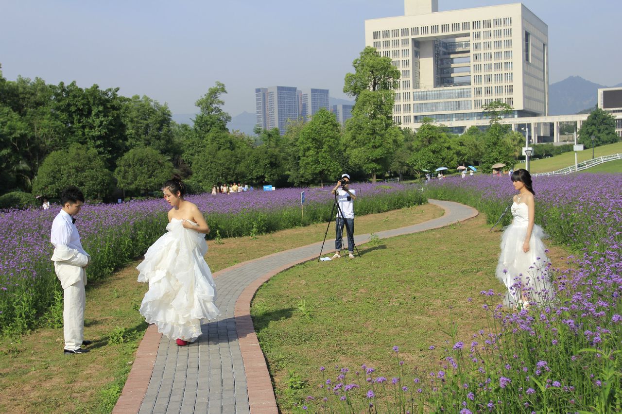 http://www.fjsenfa.cn/pics/default/download/3bfd655a427751058b4c77545d73dc97.jpg