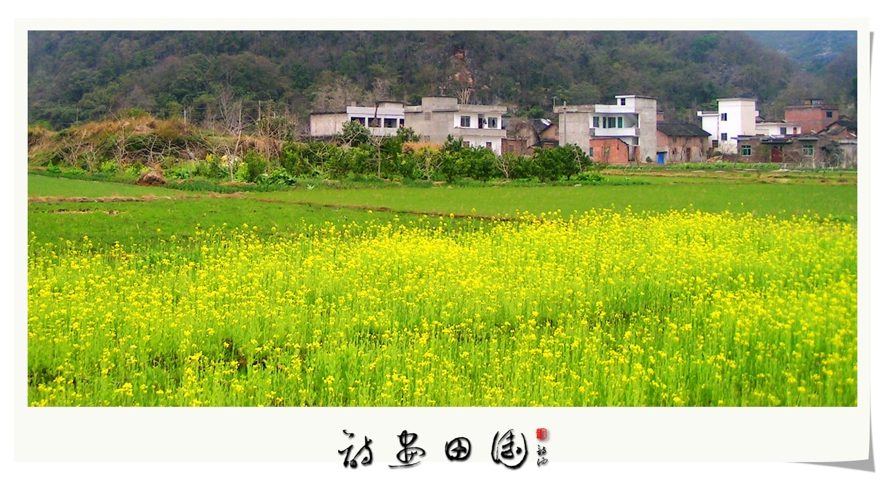 http://www.fjsenfa.cn/pics/default/download/3c1538947ebf260e64b8eee9e36a216f.jpg